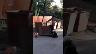 Типа придавило баком ржач..