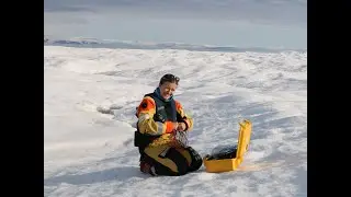 Abigail Dalton Glacier Velocities Prince of Wales Icefield