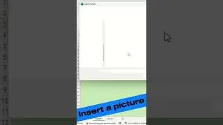 How to insert a picture to an excel 