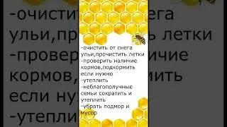 План осмотров пчёл на март.