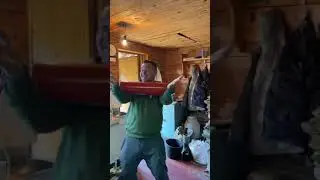 Горят костры рябин