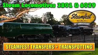 Steam Locomotives 3801 & 6029 - Maitland Steamfest Transfers + TrainSpotting, 28th April 2023