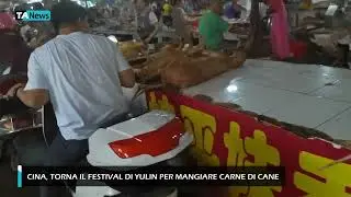 Yulin Dog Meat Festival Returns in China