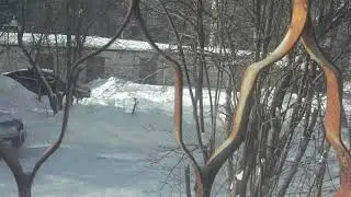 МОРОЗ И СОЛНЦЕ, ДЕНЬ ЧУДЕСНЫЙ !