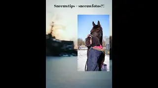 Sneeuwtips, sneeuwfoto's + Q&A?!