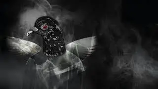 PIGEONHOLED - Adi (Official Audio)