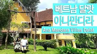 🇻🇳 베트남 여행지 1순위는?/ 달랏여행/ 달랏 야시장/맛집/ 아나만다라 달랏 /anamandara Villas dalat