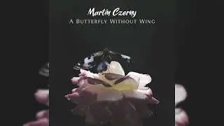 A Butterfly Without Wing - Emotional & Sad Piano, Cello and Violin