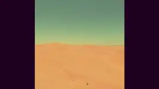 Survivor