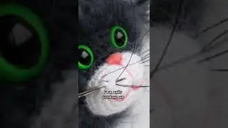 Для чего используется выпавшие кошачьи усы. 