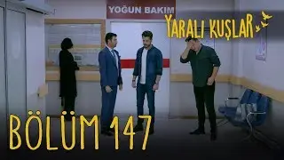 Yaralı Kuşlar 147. Bölüm