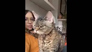 Когда встал не с той ноги