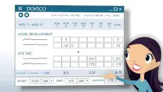 Dovico Time Tracking Software - customizable for you!
