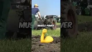 Traditional vs Modern Farmer 2! 