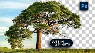 Cutout Tree in photoshop | Select Tree in Photoshop Tutorial