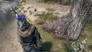 (Skyrim Modding) 850 mods and lovely weather...