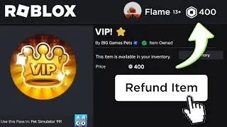 How To REFUND GAMEPASSES on ROBLOX! (2025) - Get Your Robux Back