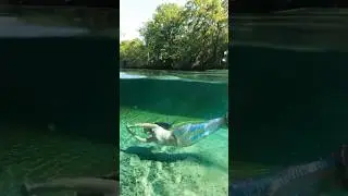 REAL mermaid swims in natural spring #relaxing #mermaid #swim #florida #underwater #h2o #mermaidtail