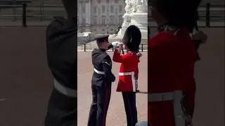 Beautiful Moment