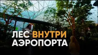 ЛЕС ВНУТРИ АЭРОПОРТА | Где Это?