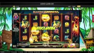 Лудовод в казино Videoslots