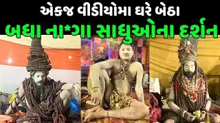 શિવરાત્રીમાં બધા નાગા સાધુઓના દર્શન એકજ વીડીયોમાં | Maha Shivratri 2024 | Maha Shivratri Mela