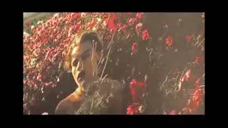 nonuser & sorb - bb so molly