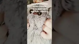 #басики