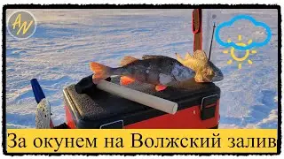 На рыбалку за окунем на балансир