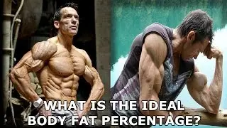 What Is The Ideal Body Fat Percentage?