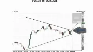 Quality Indicators