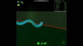 wormax.io cheat