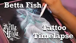 Timelapse Betta Fish