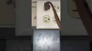 The 