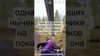 ливик 