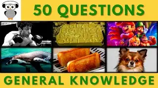 General Knowledge Quiz Trivia 