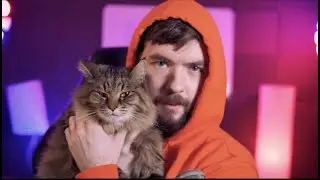 Jacksepticeye Shows Off His New Resume