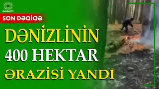 DƏNİZLİ MEŞƏLƏRİ ALTI GÜNDÜR YANIR
