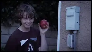 Afternoon Memez (YTP)