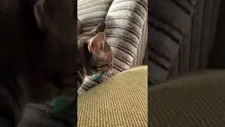 Как проходит ксюхин день