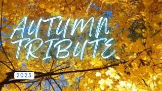 Autumn Tribute 2023 | Appreciating St. Petersburg's Fall Colors
