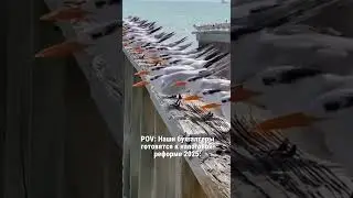 🐦 ГОТОВИМСЯ К НАЛОГОВОЙ РЕФОРМЕ #налоги #налоговаяреформа #бухгалтерия