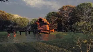 Environment Nature  