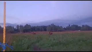 Красота вечере