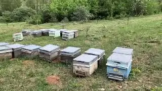 Arı Kovanlarımız - Yayla Çiçek Balı