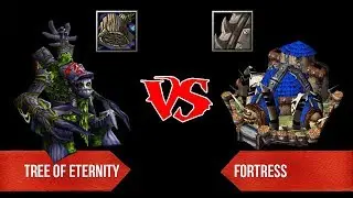 Tree of Eternity vs Fortress
