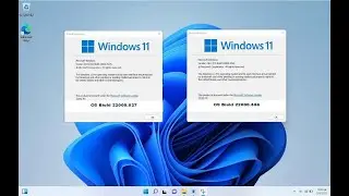 2022-03 Cumulative Update for Windows 11 for x64-based Systems (KB5011493) - New Update Windows