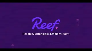 Streamline Your Workflow with the In-House Tooling of Reef Chain