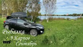 Рыбалка, Ночь, 9 Карпов, Сентябрь 2025, Щука на Миллион! фильм первый 