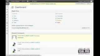 Your WordPress Professionals: WordPress Tune-Up Promo